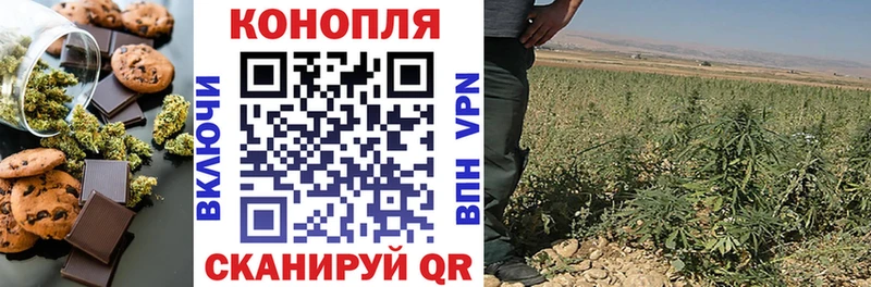 kraken ССЫЛКА  Боготол  Cannafood конопля 