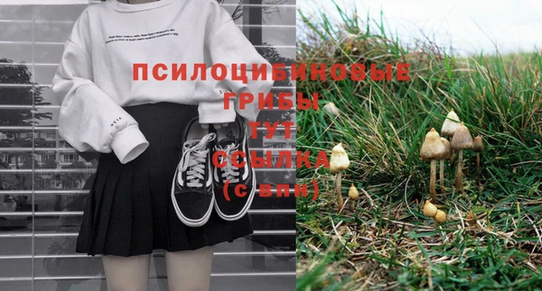 МДПВ Аркадак
