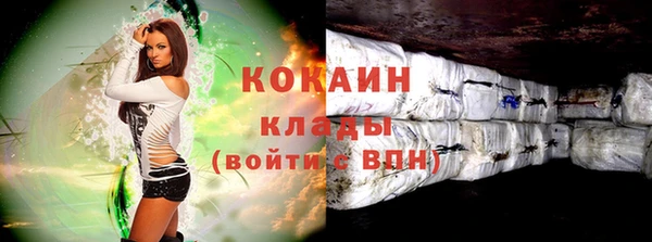тгк Арсеньев