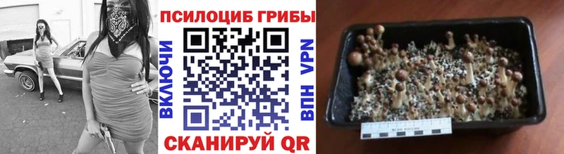 Псилоцибиновые грибы Magic Shrooms  Боготол 